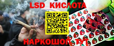 стаф Рыбинск