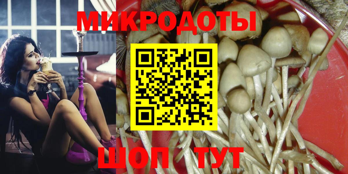 Псилоцибиновые грибы MAGIC MUSHROOMS  Вход с VPN  Северск 