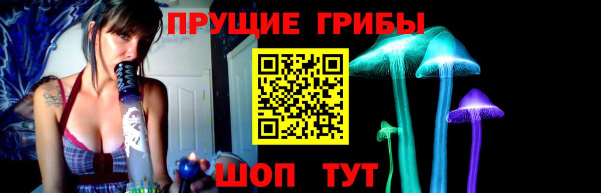 Псилоцибиновые грибы мухоморы Северск